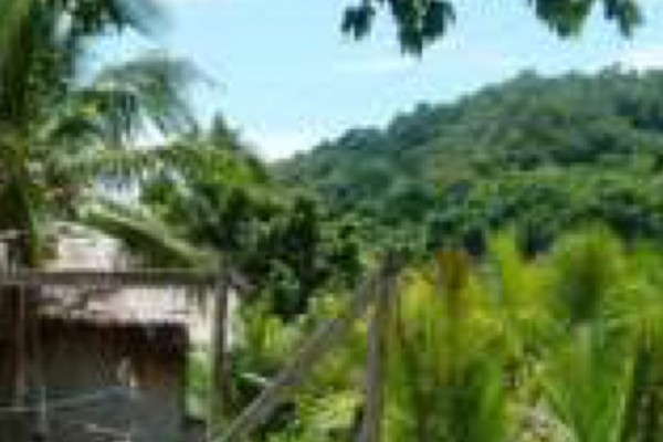 for-sale-lot-in-cabu-an-camiguin-island